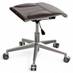 Metal Body Leg Extension