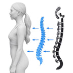 Scaun executiv anatomic cu egalizator și cadru metalic