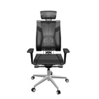 Metal Body Yoga F Director Chair